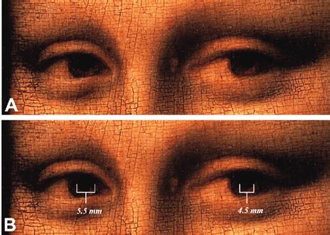 lv mona lisa|Mona Lisa letters in eyes.